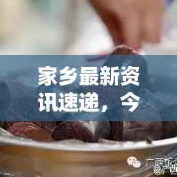 家乡最新资讯速递，今日头条全掌握