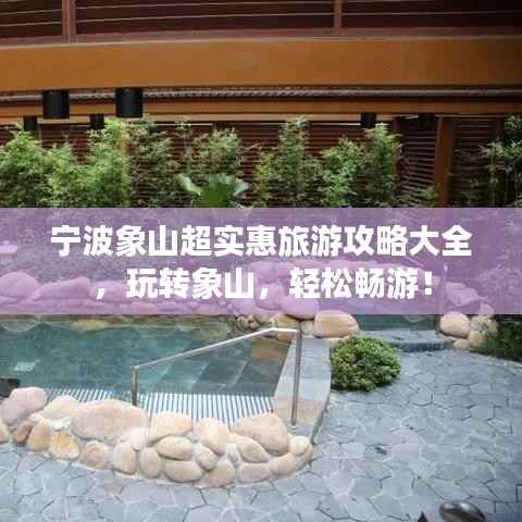 小鸟伊人 第3页