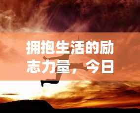 惊弦之鸟 第3页