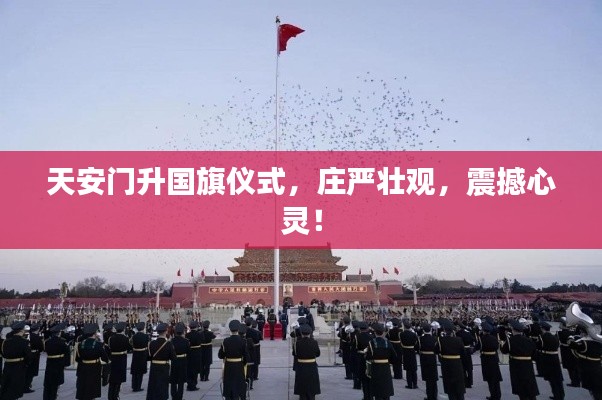 飞红滴翠 第3页