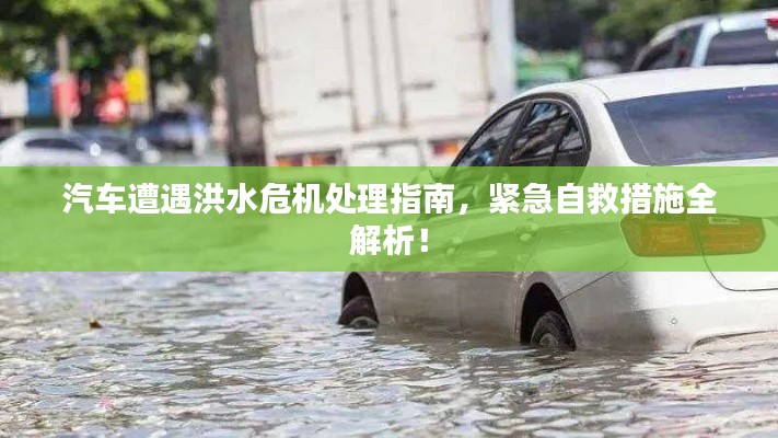 汽车遭遇洪水危机处理指南,紧急自救措施全解析!