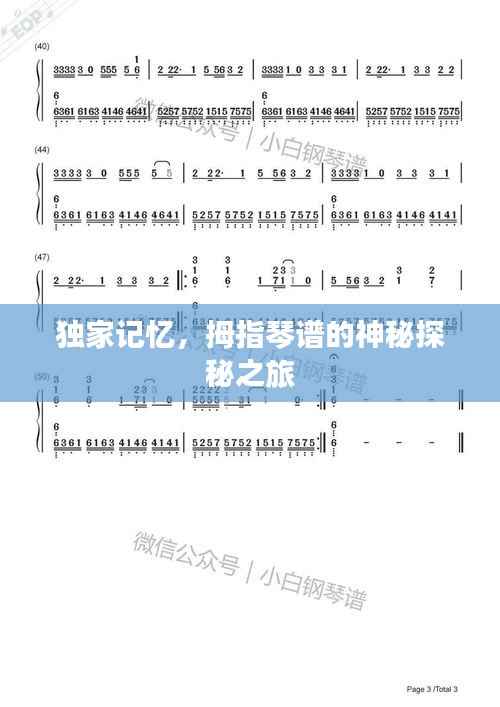 贵耳贱目 第3页