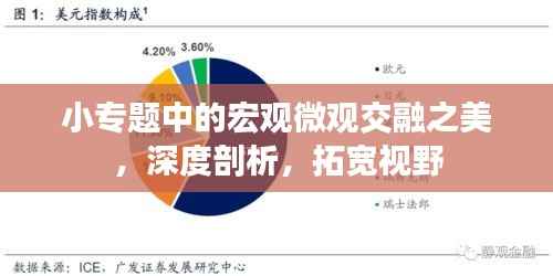 小专题中的宏观微观交融之美，深度剖析，拓宽视野