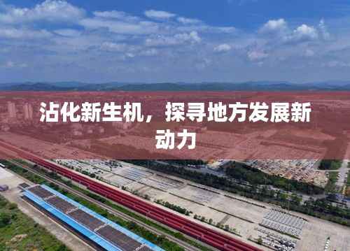 沾化新生机，探寻地方发展新动力