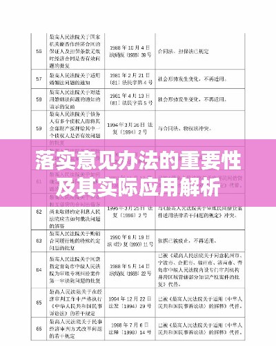 落实意见办法的重要性及其实际应用解析