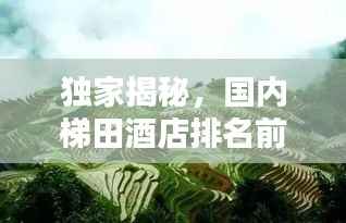 独家揭秘，国内梯田酒店排名前十榜单，尽享绝美风光！