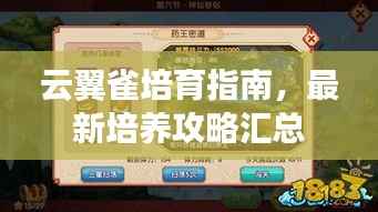 云翼雀培育指南，最新培养攻略汇总