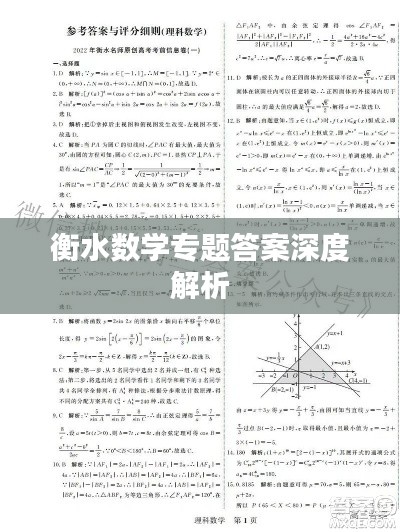 衡水数学专题答案深度解析