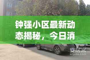 钟强小区最新动态揭秘，今日消息一网打尽！