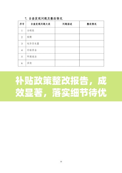 补贴政策整改报告，成效显著，落实细节待优化