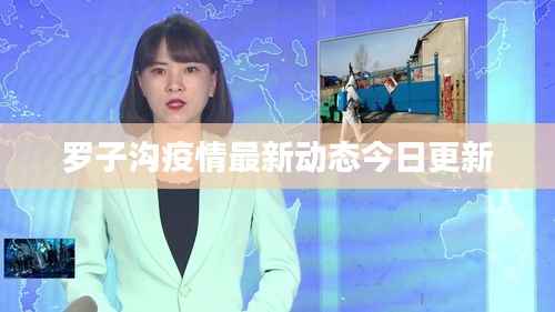 罗子沟疫情最新动态今日更新