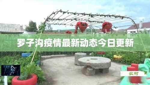罗子沟疫情最新动态今日更新