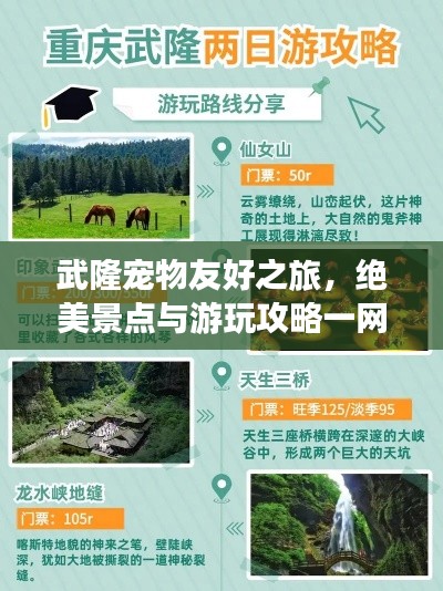 武隆宠物友好之旅，绝美景点与游玩攻略一网打尽！