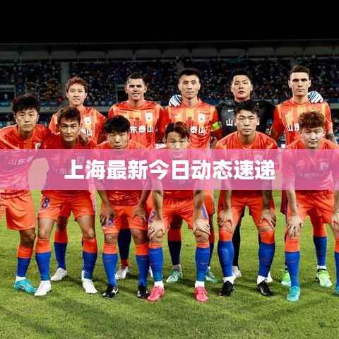 上海最新今日动态速递