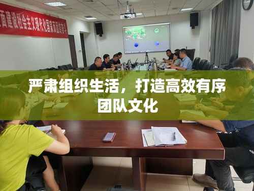 严肃组织生活，打造高效有序团队文化