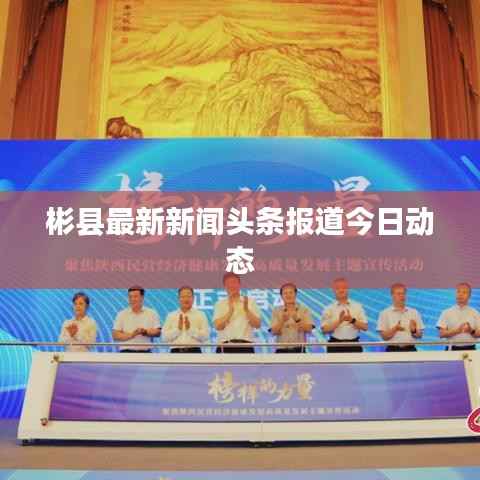 彬县最新新闻头条报道今日动态