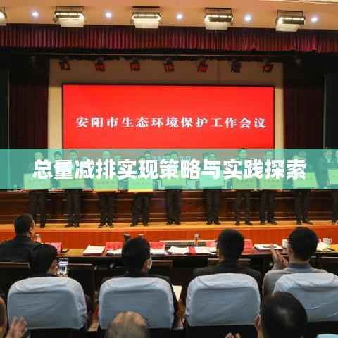 总量减排实现策略与实践探索
