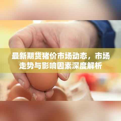 最新期货猪价市场动态，市场走势与影响因素深度解析