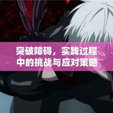 突破障碍，实践过程中的挑战与应对策略揭秘