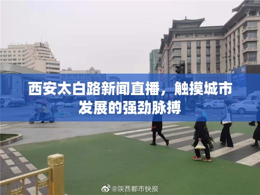 西安太白路新闻直播，触摸城市发展的强劲脉搏
