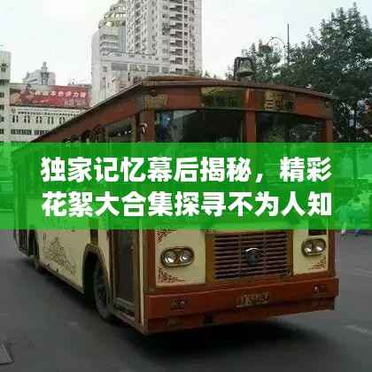 听见风就是雨 第3页