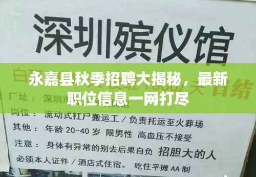 永嘉县秋季招聘大揭秘，最新职位信息一网打尽