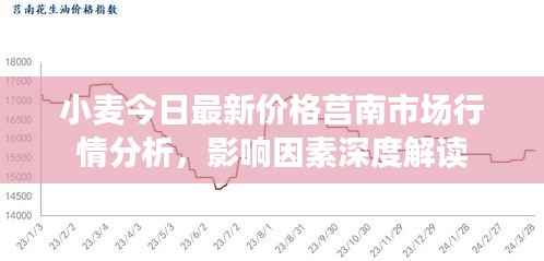 小麦今日最新价格莒南市场行情分析，影响因素深度解读