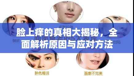 脸上痒的真相大揭秘，全面解析原因与应对方法