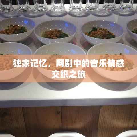 独家记忆，网剧中的音乐情感交织之旅