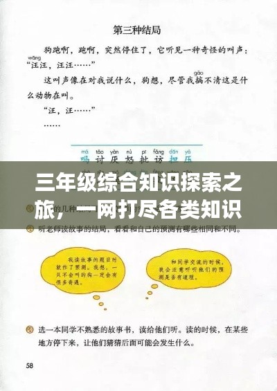 三年级综合知识探索之旅,一网打尽各类知识点!