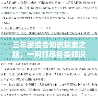 三年级综合知识探索之旅,一网打尽各类知识点!