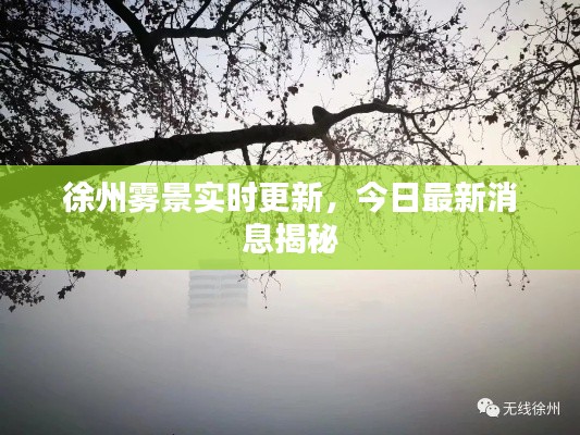 徐州雾景实时更新，今日最新消息揭秘