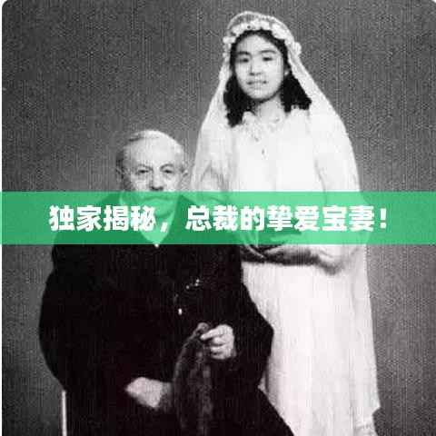 独家揭秘,总裁的挚爱宝妻!