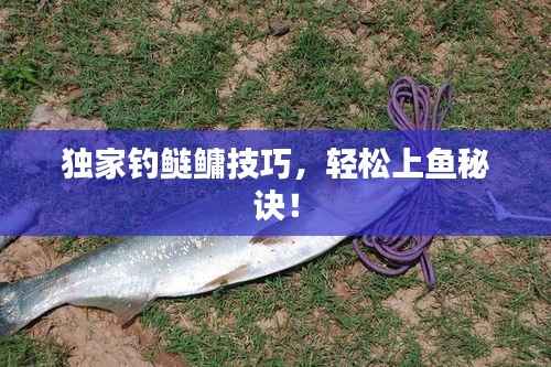 独家钓鲢鳙技巧，轻松上鱼秘诀！