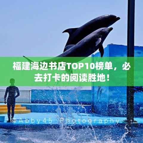 福建海边书店TOP10榜单，必去打卡的阅读胜地！