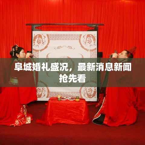 飞奇钩货 第3页