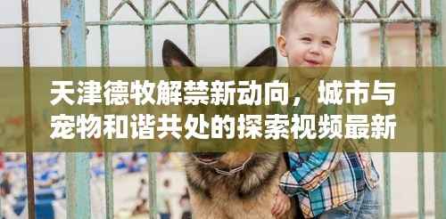 天津德牧解禁新动向，城市与宠物和谐共处的探索视频最新版