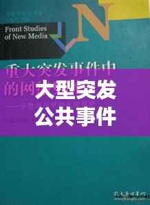大型突发公共事件的应对与反思，深度剖析，引人深思