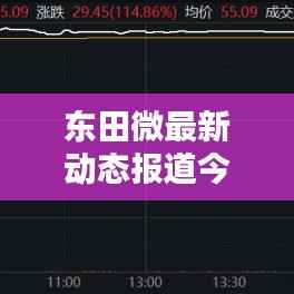 东田微最新动态报道今日揭晓！
