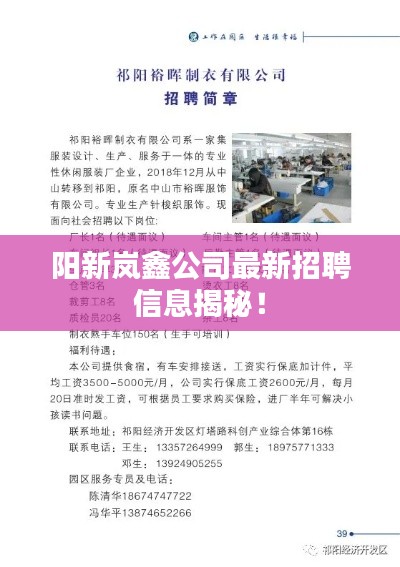 阳新岚鑫公司最新招聘信息揭秘！