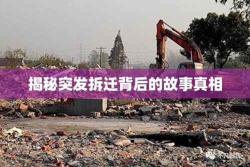 天潢贵胄 第3页