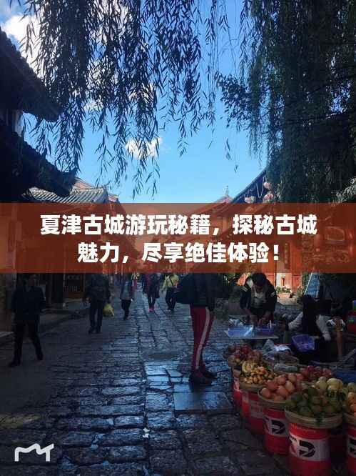 夏津古城游玩秘籍，探秘古城魅力，尽享绝佳体验！