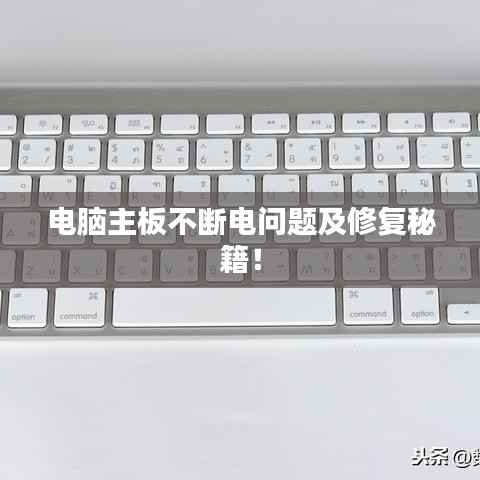 乌鸟之情 第2页