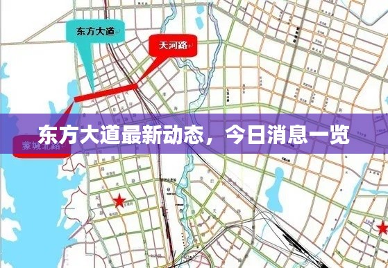 东方大道最新动态，今日消息一览