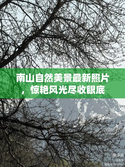 南山自然美景最新照片，惊艳风光尽收眼底