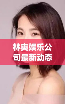林爽娱乐公司最新动态揭秘，现状与最新消息全面解读