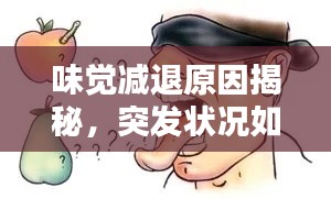 味觉减退原因揭秘，突发状况如何应对？