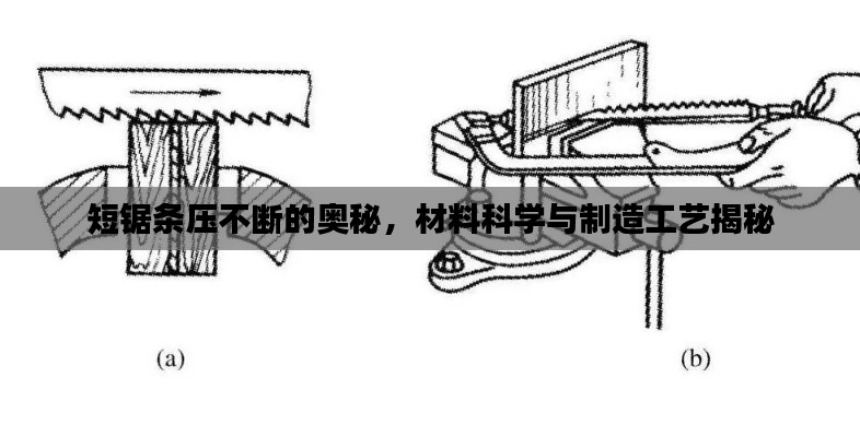 短锯条压不断的奥秘，材料科学与制造工艺揭秘