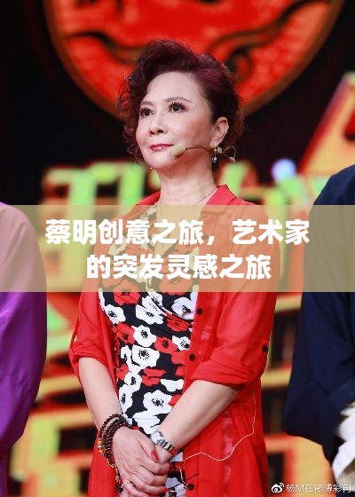 蔡明创意之旅，艺术家的突发灵感之旅