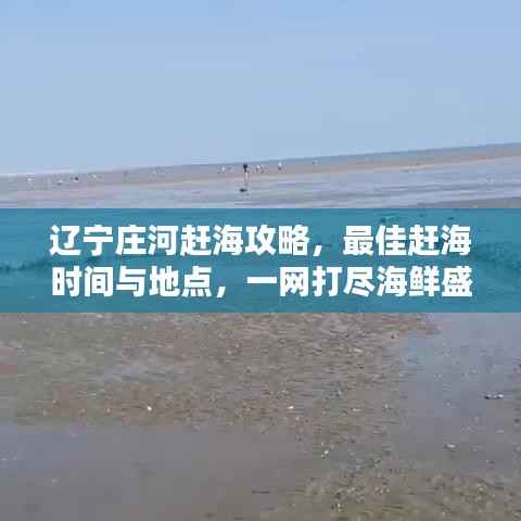 辽宁庄河赶海攻略，最佳赶海时间与地点，一网打尽海鲜盛宴！